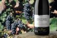 Selezione Regionale - Vinho OCCHIO NERO Pinot Nero D.O.C.
